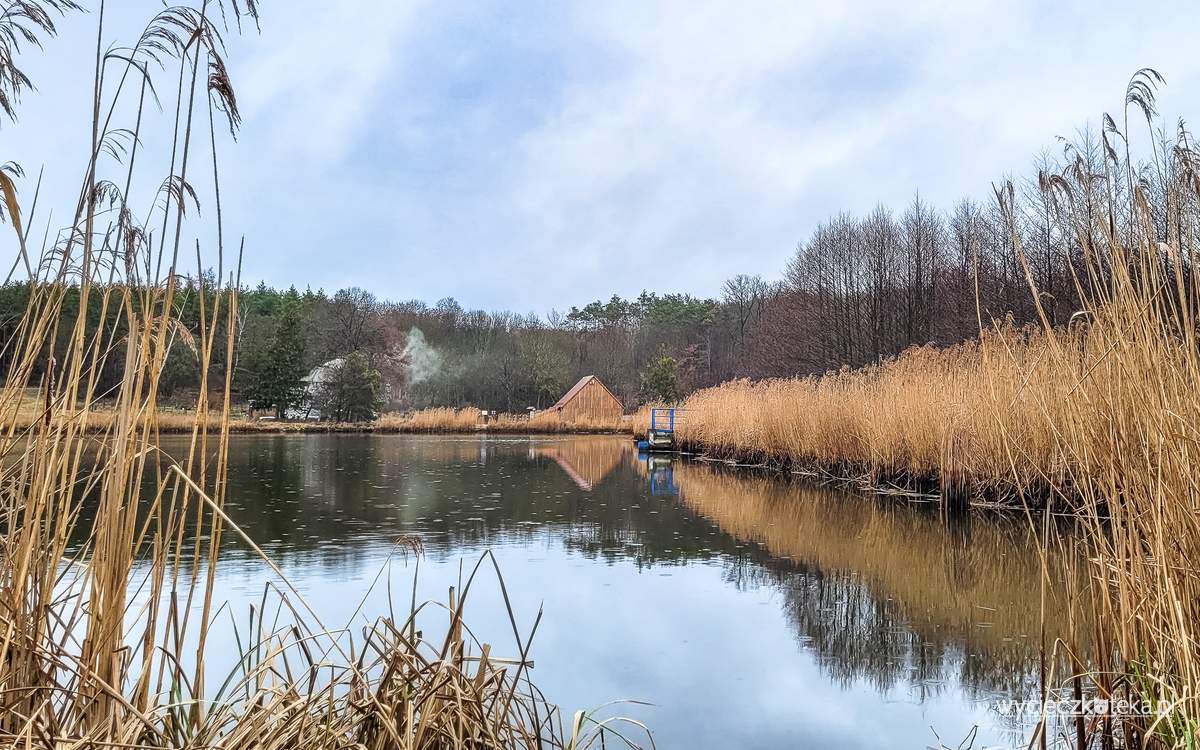 Spacer nad jeziorem i młyn wodny koło Poznania – Łysy Młyn