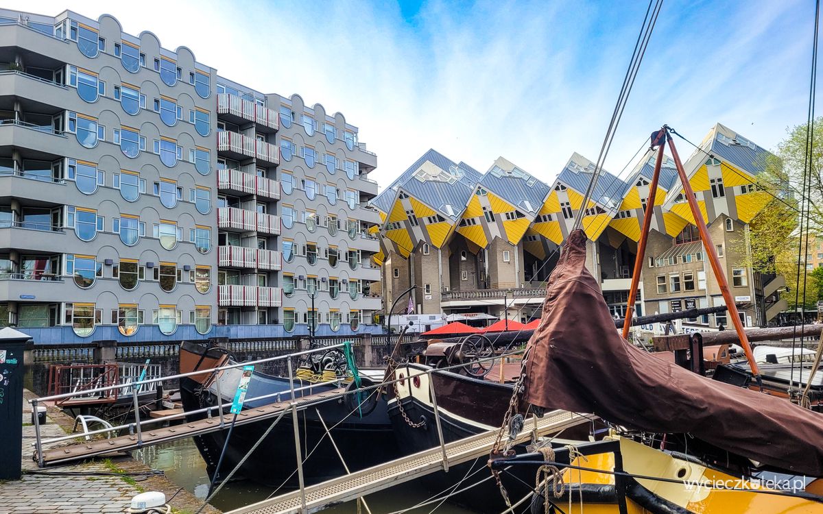 Rotterdam – co warto zobaczyć w ciągu godziny zwiedzania miasta
