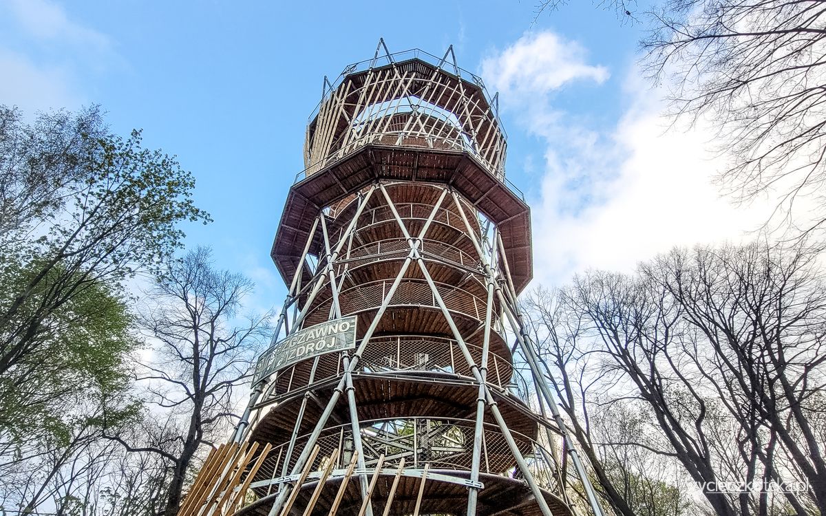 Wzgórze Gedymina – nowa wieża widokowa w Szczawnie-Zdroju