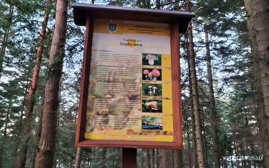 Ścieżka przyrodniczo-dydaktyczna na Górze Paproć w Tymbarku