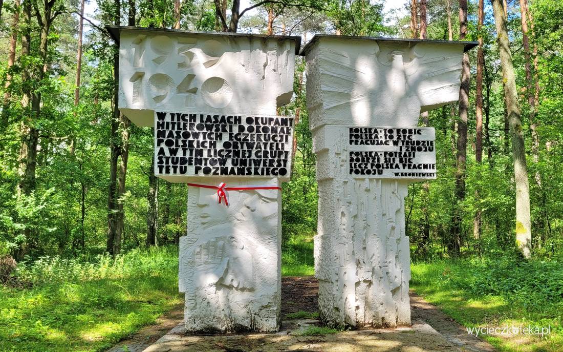 Lasy Zakrzewsko-Palędzkie Szlak Pamięci Narodowej. Masowe groby ukryte w lesie