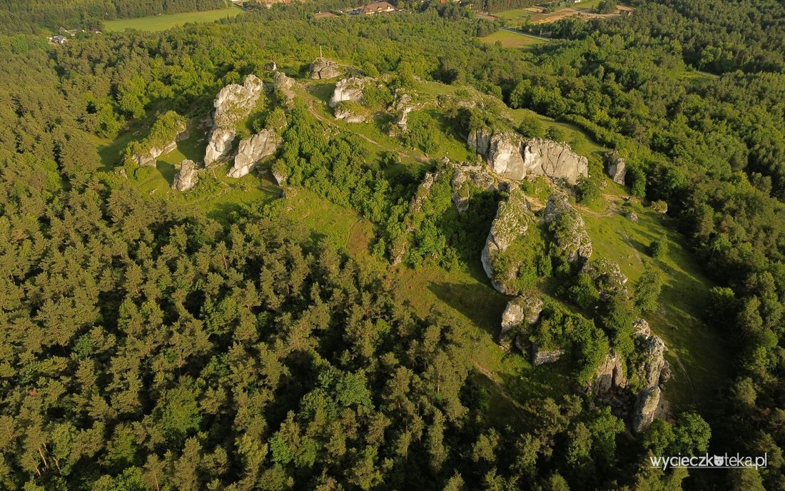 Góra Zborów – świetny pomysł na wycieczkę na Jurę Krakowsko-Częstochowską