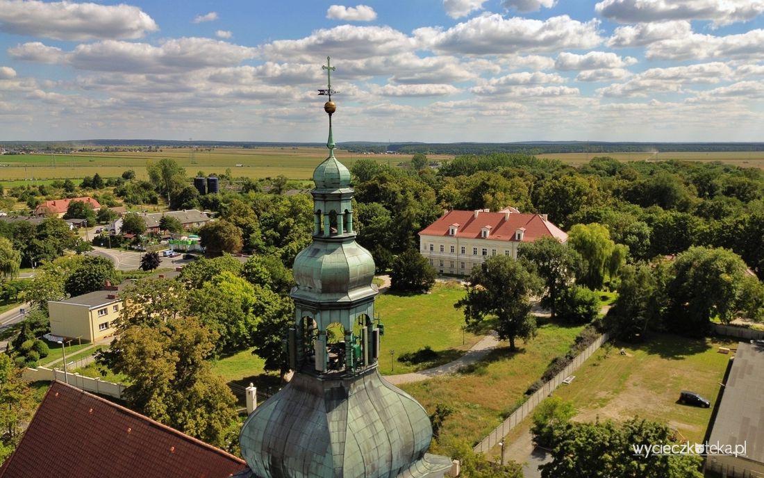 Pałac w Konarzewie koło Poznania. Poznaj zaplecze dla arboretum w Kórniku