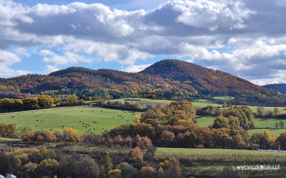 Borek i Grodzisko w Beskidzie Wyspowym. Pomysł na 1-godzinną wycieczkę z Poznachowic Górnych