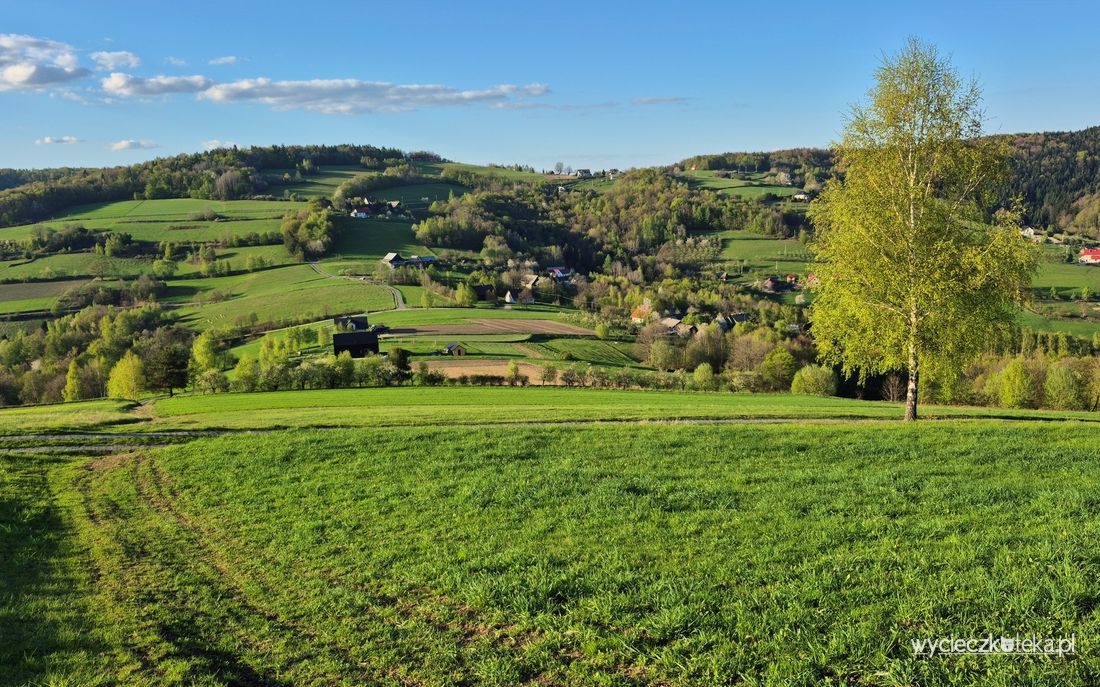 Jastrząbka w Beskidzie Wyspowym. Malownicza trasa na cmentarz wojenny Kamionka Mała