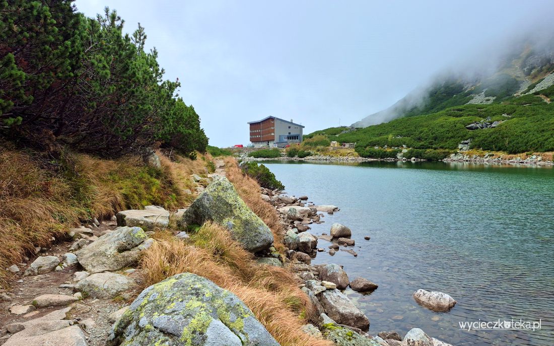 Szlak nad Wielicki Staw w Tatrach. Pętla z Tatrzańskich Zrębów, zejście do Tatrzańskiej Polanki