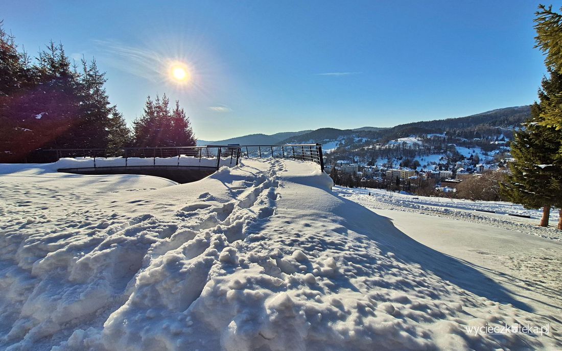 Platforma widokowa w Krynicy-Zdroju. Zajrzyj do Ogrodu Żywiołów