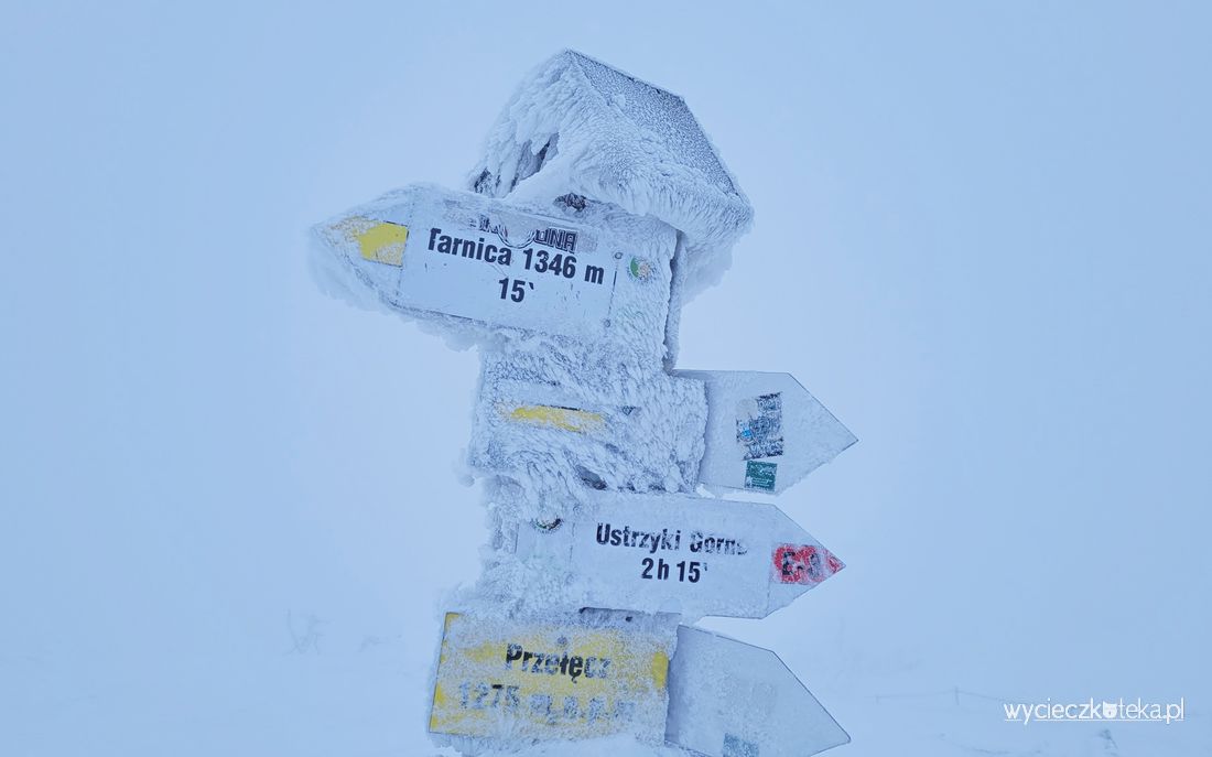 Tarnica z Ustrzyk Górnych w zimie. Zobacz jak wygląda pętla przez Wołosate