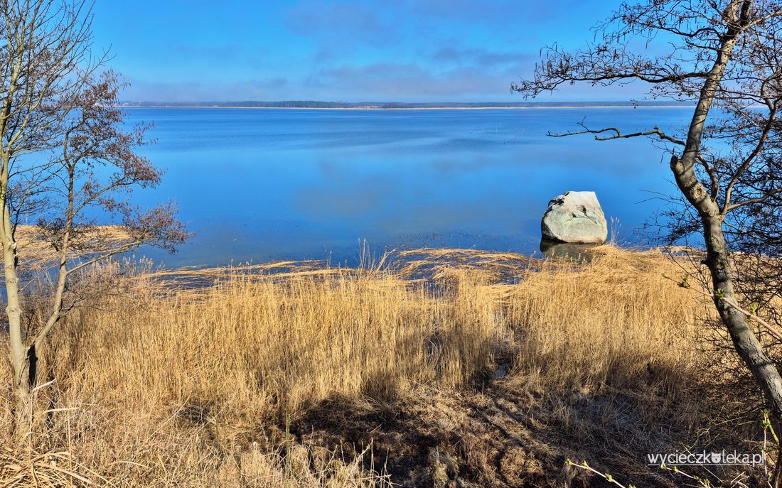 Głaz Królewski koło Kamienia Pomorskiego. Ciekawostka geologiczna Pomorza Zachodniego