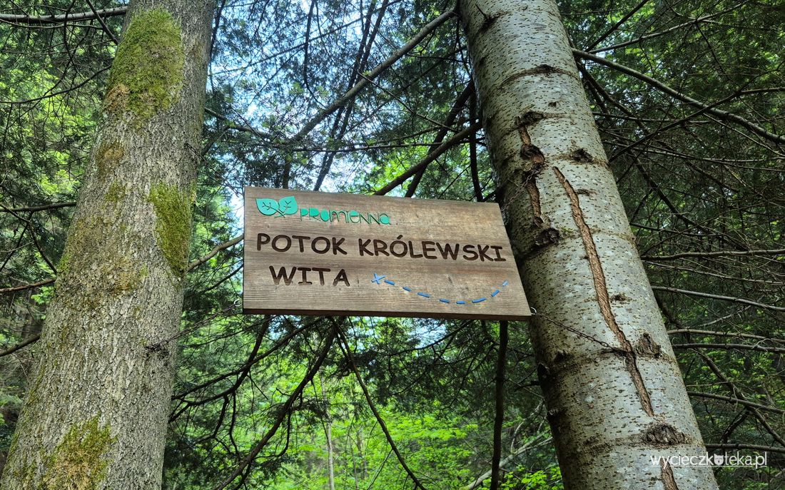 Ścieżka z drabinami w Rabce-Zdroju. Wybierz się na wycieczkę dnem Królewskiego Potoku