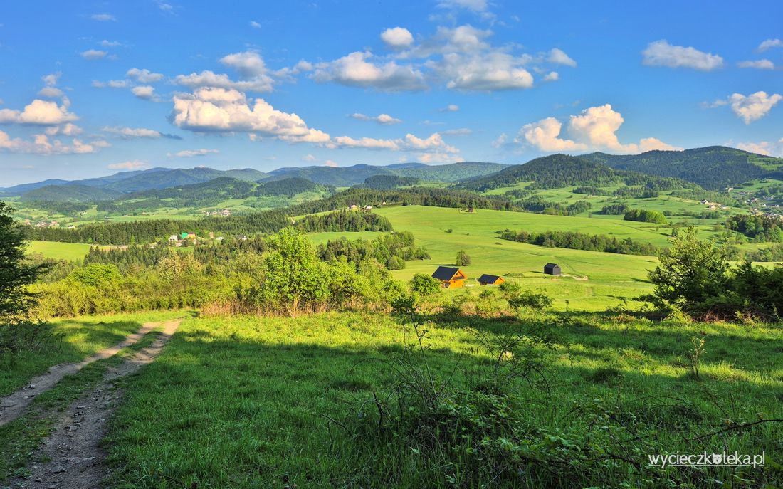 Wybierz się z Rabki-Zaryte na Grzebień. Zobaczysz stąd Tatry!