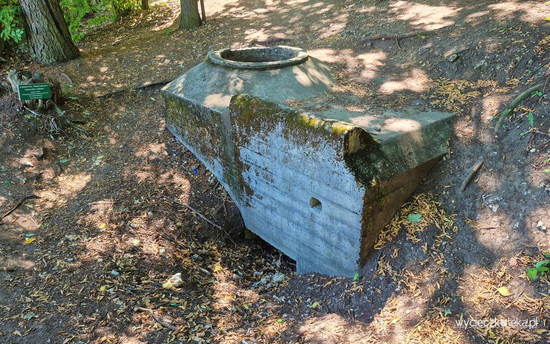 Bunkry i okopy z II wojny światowej obok zamku Ogrodzieniec. Turystyka pól bitewnych w Podzamczu