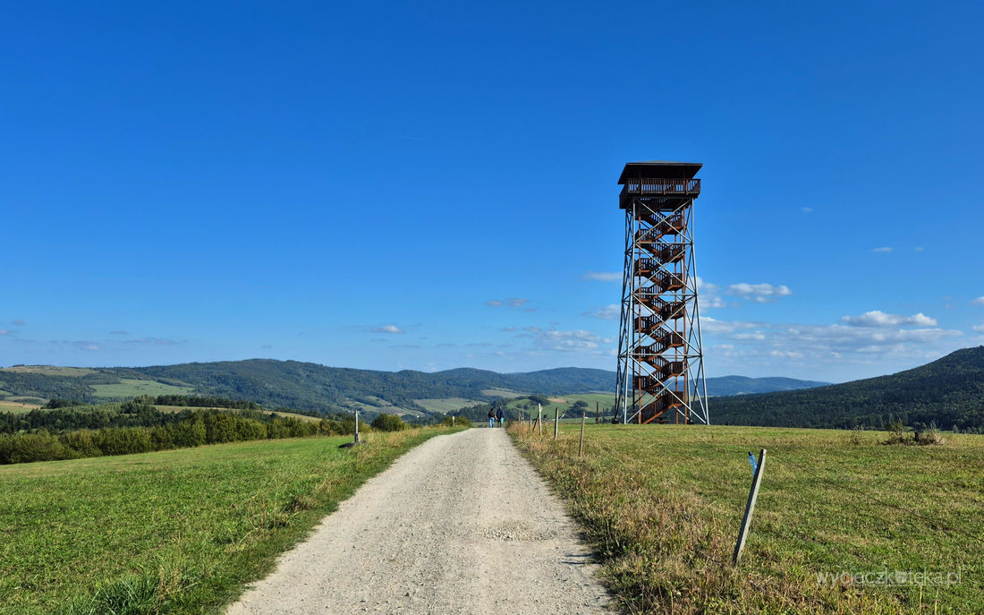 Wieża widokowa w Desznicy. Zobacz panoramę Beskidu Niskiego